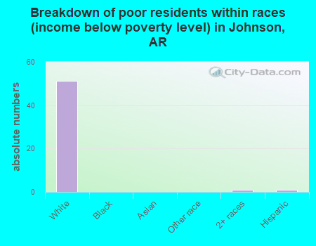 Breakdown of poor residents within races (income below poverty level) in Johnson, AR