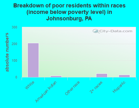 Breakdown of poor residents within races (income below poverty level) in Johnsonburg, PA