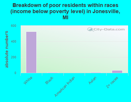 Breakdown of poor residents within races (income below poverty level) in Jonesville, MI