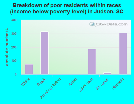 Breakdown of poor residents within races (income below poverty level) in Judson, SC