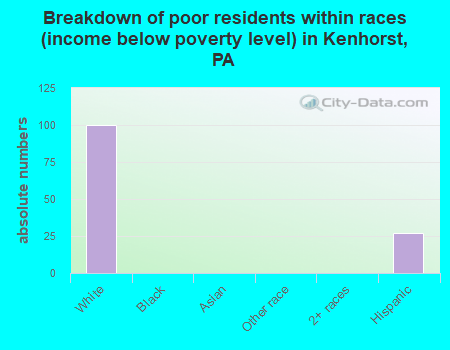 Breakdown of poor residents within races (income below poverty level) in Kenhorst, PA