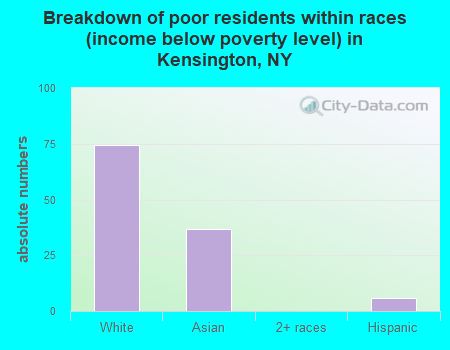Breakdown of poor residents within races (income below poverty level) in Kensington, NY