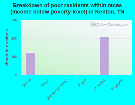 Breakdown of poor residents within races (income below poverty level) in Kenton, TN