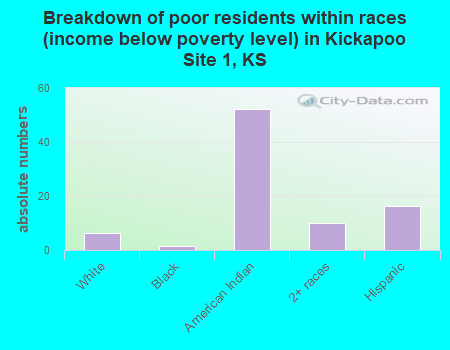 Breakdown of poor residents within races (income below poverty level) in Kickapoo Site 1, KS