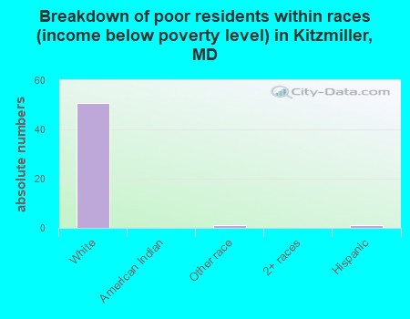 Breakdown of poor residents within races (income below poverty level) in Kitzmiller, MD