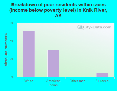 Breakdown of poor residents within races (income below poverty level) in Knik River, AK