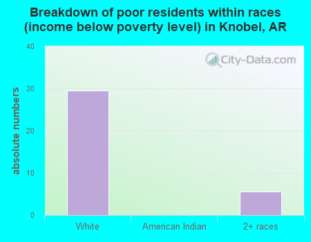 Breakdown of poor residents within races (income below poverty level) in Knobel, AR