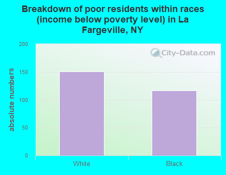 Breakdown of poor residents within races (income below poverty level) in La Fargeville, NY