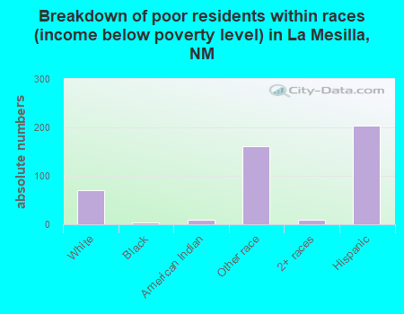 Breakdown of poor residents within races (income below poverty level) in La Mesilla, NM