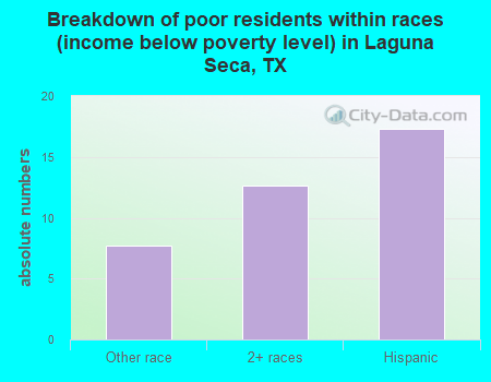 Breakdown of poor residents within races (income below poverty level) in Laguna Seca, TX