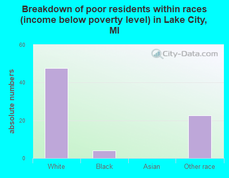 Breakdown of poor residents within races (income below poverty level) in Lake City, MI