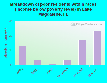 Breakdown of poor residents within races (income below poverty level) in Lake Magdalene, FL