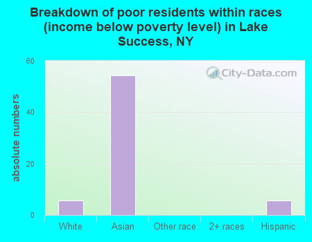 Breakdown of poor residents within races (income below poverty level) in Lake Success, NY