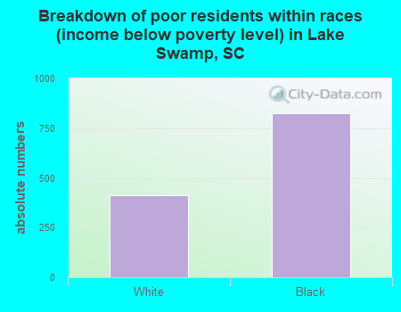 Breakdown of poor residents within races (income below poverty level) in Lake Swamp, SC