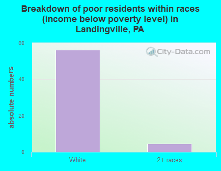 Breakdown of poor residents within races (income below poverty level) in Landingville, PA