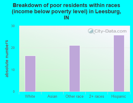 Breakdown of poor residents within races (income below poverty level) in Leesburg, IN