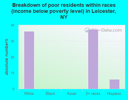 Breakdown of poor residents within races (income below poverty level) in Leicester, NY