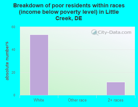 Breakdown of poor residents within races (income below poverty level) in Little Creek, DE
