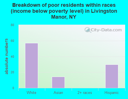 Breakdown of poor residents within races (income below poverty level) in Livingston Manor, NY