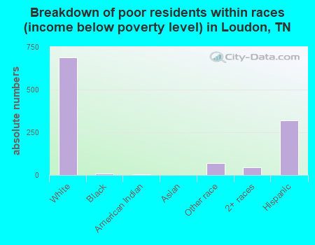 Breakdown of poor residents within races (income below poverty level) in Loudon, TN