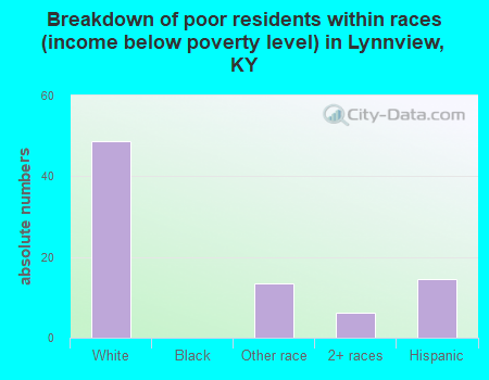 Breakdown of poor residents within races (income below poverty level) in Lynnview, KY