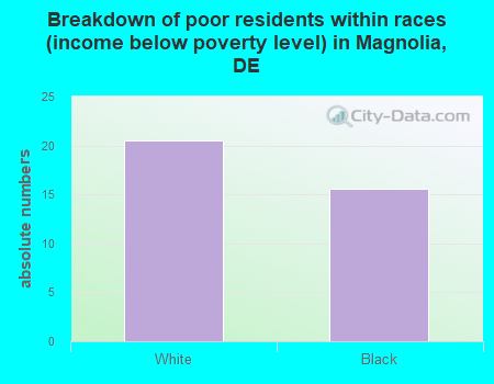 Breakdown of poor residents within races (income below poverty level) in Magnolia, DE