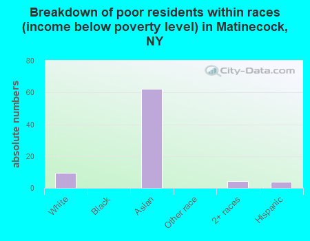 Breakdown of poor residents within races (income below poverty level) in Matinecock, NY