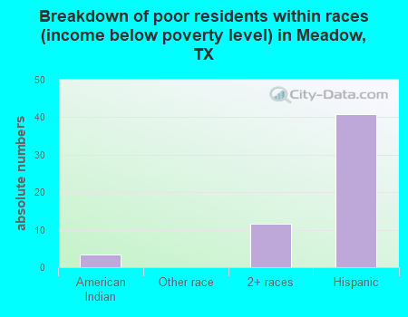 Breakdown of poor residents within races (income below poverty level) in Meadow, TX