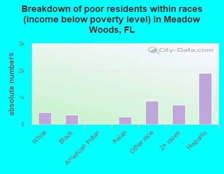 Breakdown of poor residents within races (income below poverty level) in Meadow Woods, FL