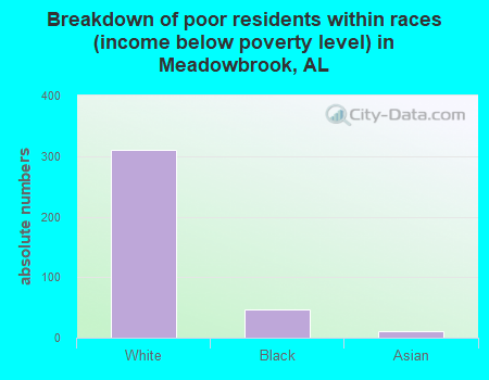 Breakdown of poor residents within races (income below poverty level) in Meadowbrook, AL