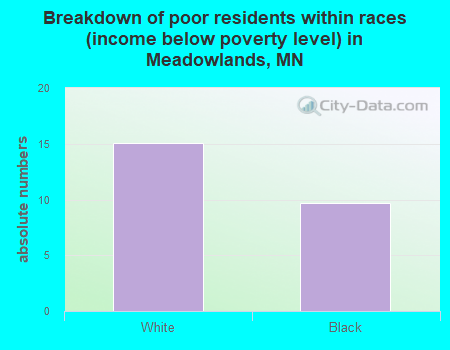Breakdown of poor residents within races (income below poverty level) in Meadowlands, MN