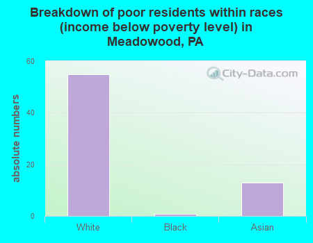 Breakdown of poor residents within races (income below poverty level) in Meadowood, PA