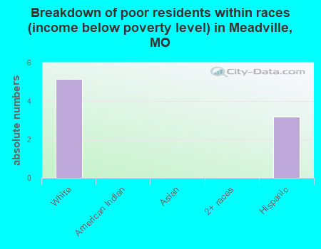 Breakdown of poor residents within races (income below poverty level) in Meadville, MO