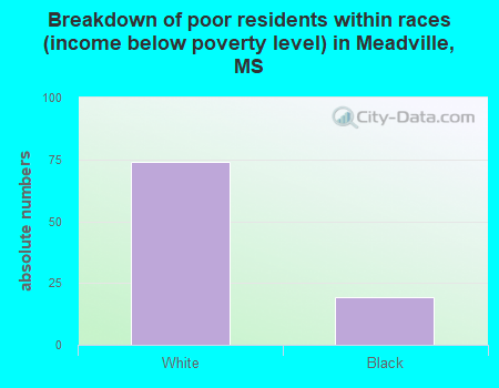 Breakdown of poor residents within races (income below poverty level) in Meadville, MS