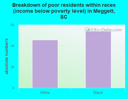Breakdown of poor residents within races (income below poverty level) in Meggett, SC