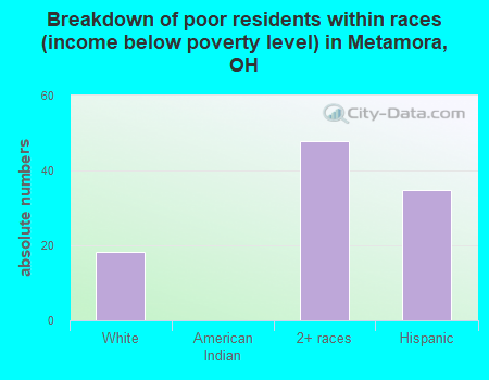 Breakdown of poor residents within races (income below poverty level) in Metamora, OH