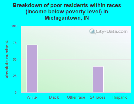 Breakdown of poor residents within races (income below poverty level) in Michigantown, IN