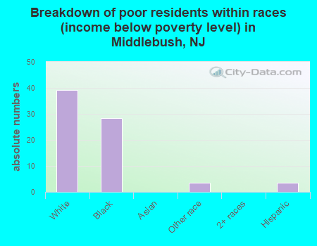 Breakdown of poor residents within races (income below poverty level) in Middlebush, NJ