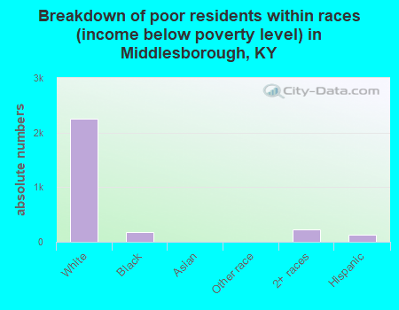 Breakdown of poor residents within races (income below poverty level) in Middlesborough, KY