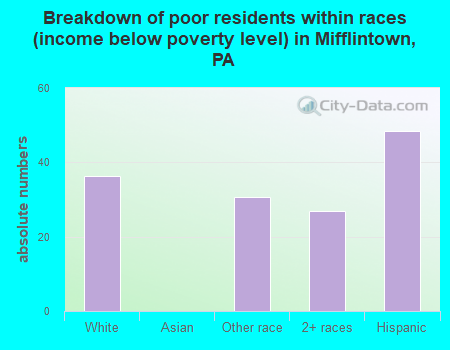 Breakdown of poor residents within races (income below poverty level) in Mifflintown, PA