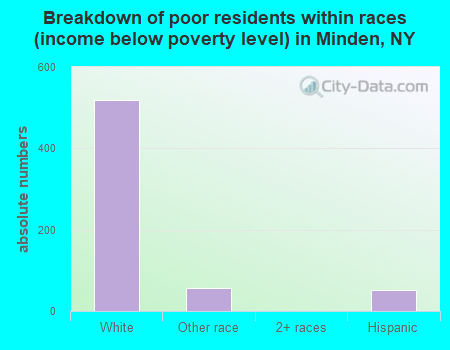Breakdown of poor residents within races (income below poverty level) in Minden, NY