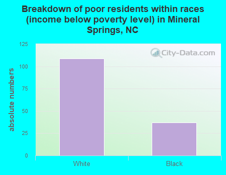 Breakdown of poor residents within races (income below poverty level) in Mineral Springs, NC