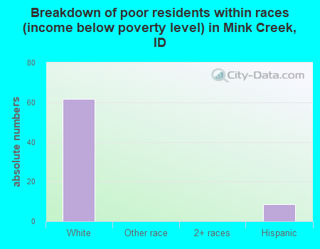 Breakdown of poor residents within races (income below poverty level) in Mink Creek, ID