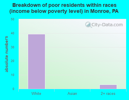 Breakdown of poor residents within races (income below poverty level) in Monroe, PA