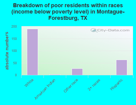 Breakdown of poor residents within races (income below poverty level) in Montague-Forestburg, TX