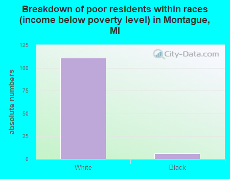 Breakdown of poor residents within races (income below poverty level) in Montague, MI