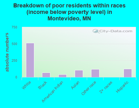 Breakdown of poor residents within races (income below poverty level) in Montevideo, MN