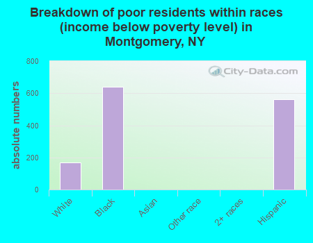 Breakdown of poor residents within races (income below poverty level) in Montgomery, NY