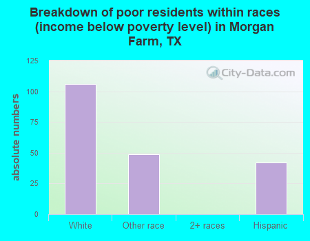 Breakdown of poor residents within races (income below poverty level) in Morgan Farm, TX