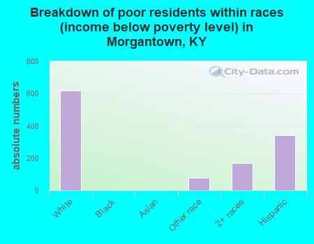 Breakdown of poor residents within races (income below poverty level) in Morgantown, KY